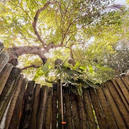 Pousada Zen Caraíva المظهر الخارجي الصورة
